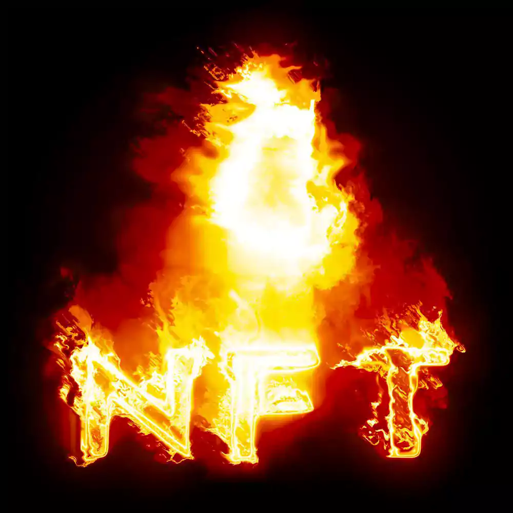 Burned NFT