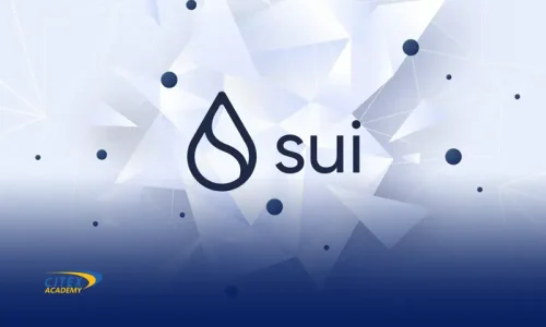 بلاکچین sui چیست؟