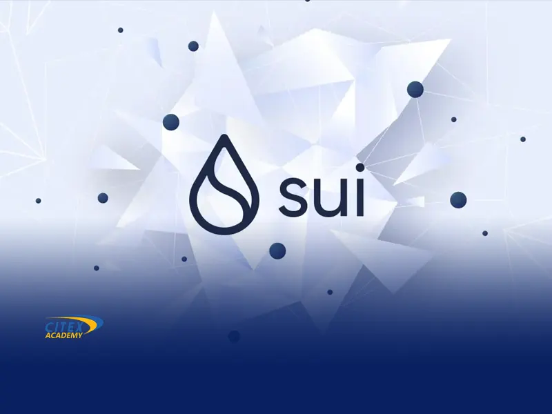 بلاکچین sui چیست؟