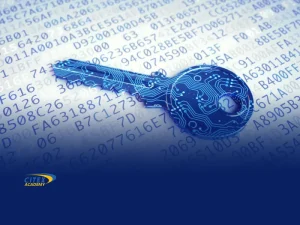 کلید عمومی (Public Key)