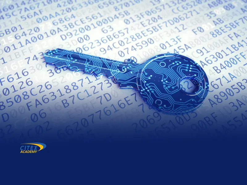 کلید عمومی (Public Key)