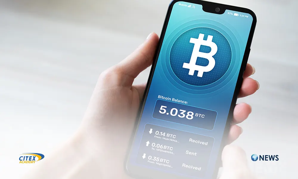 کاهش 80 درصدی کیف‌پول‌های «میلیون دلاری» بیت‌کوین