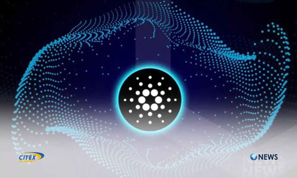 کاردانو، رتبه اول توسعه بلاکچین در سال 2022