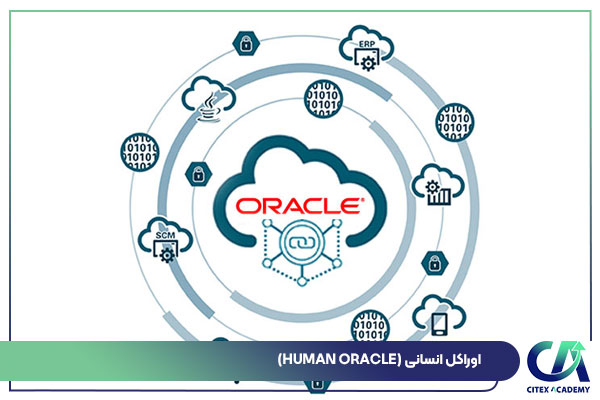 اوراکل انسانی (Human oracle)